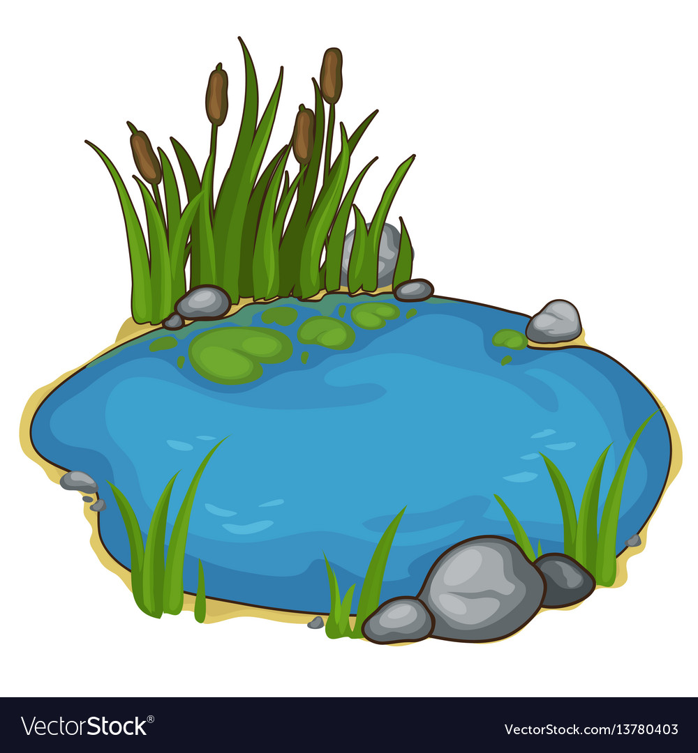 Small Lake With Reeds In Cartoon Style Royalty Free Vector