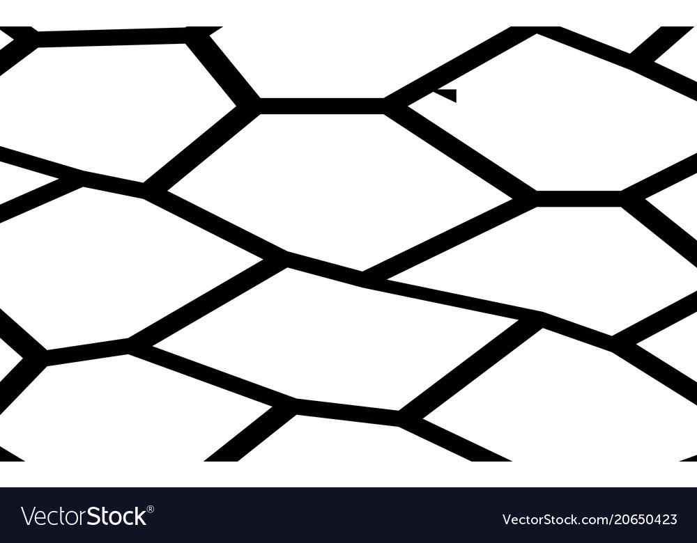 black and white irregular mosaic template vector image