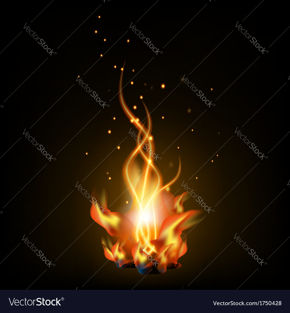 Bonfire night Royalty Free Vector Image - VectorStock