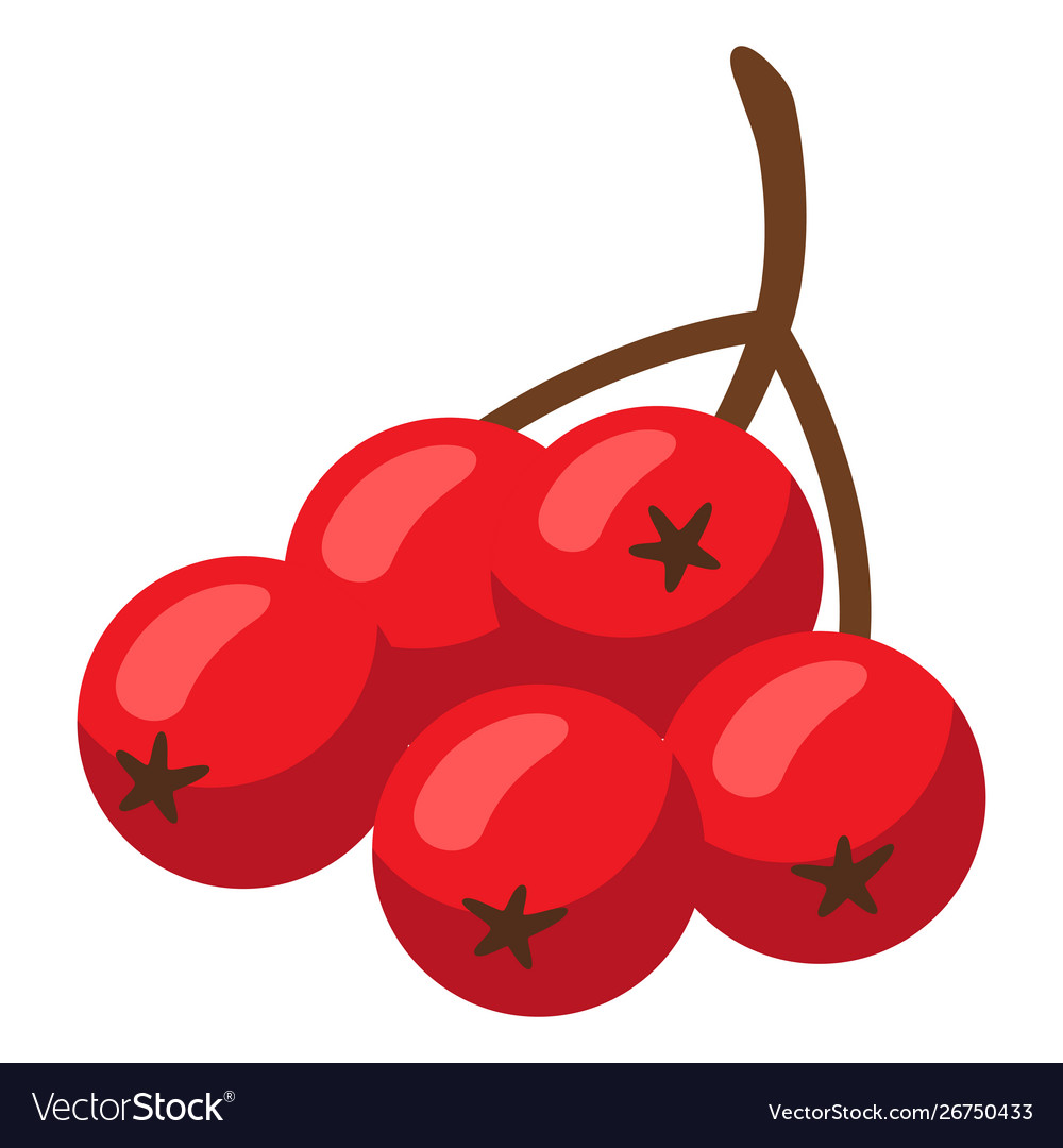 Cartoon ripe cranberries