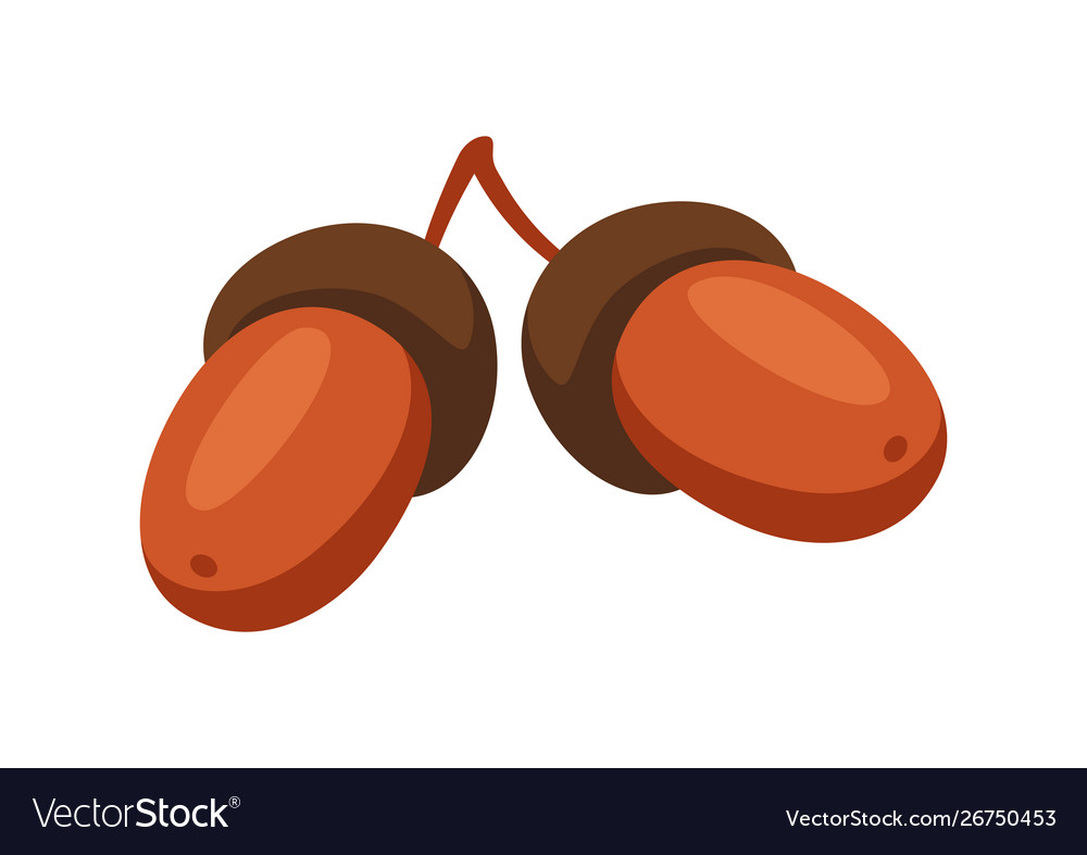 chunky acorn clipart