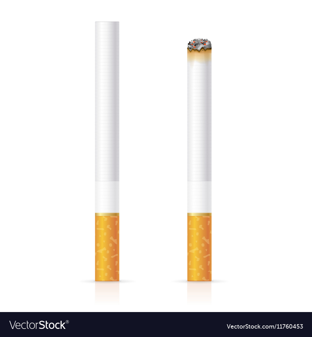 Realistic Cigarette With Traditional Filter Vector Image 0966