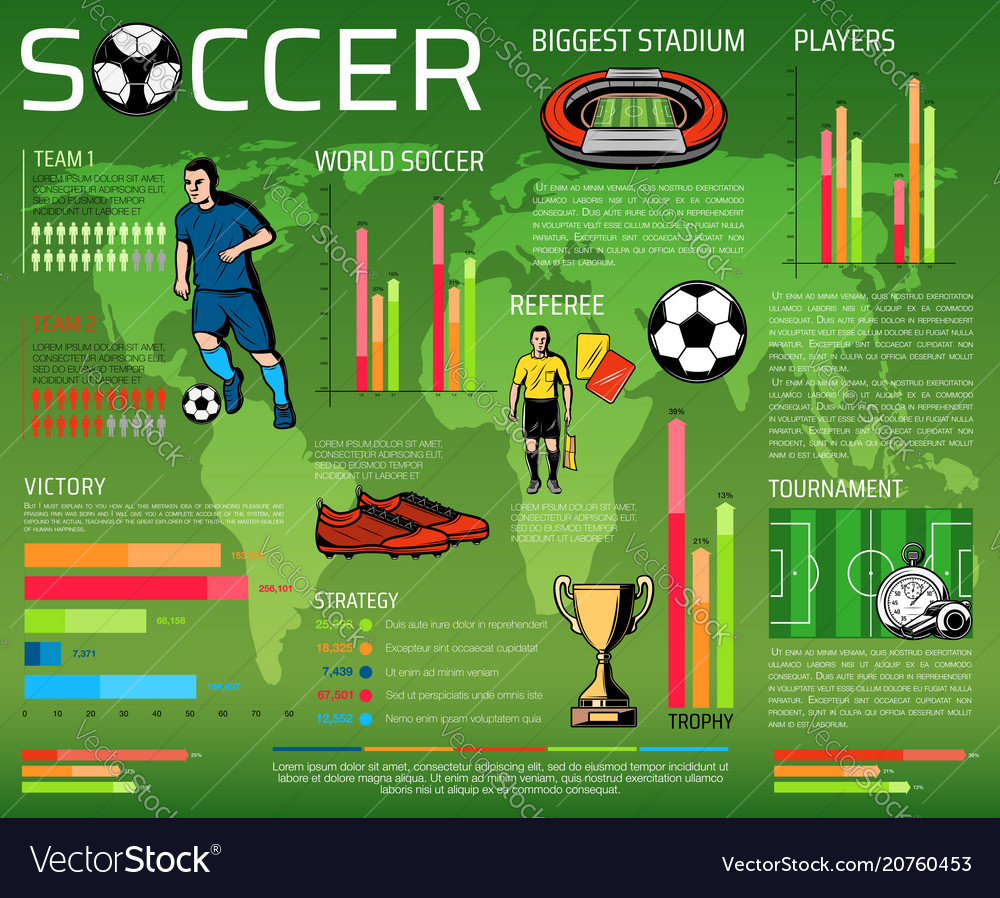 Soccer or football sport competition infographic Vector Image