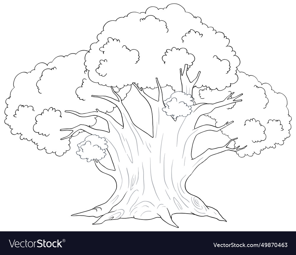 Black and white line drawing of a large tree Vector Image