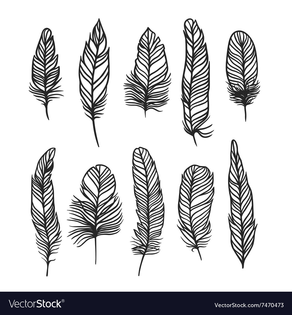 Boho Feather Hand Drawn Effect Style Royalty Free Vector