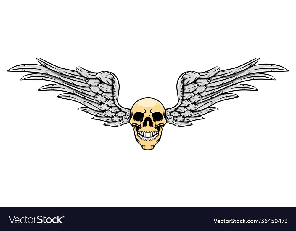 Hand draw dead skull with hole Royalty Free Vector Image