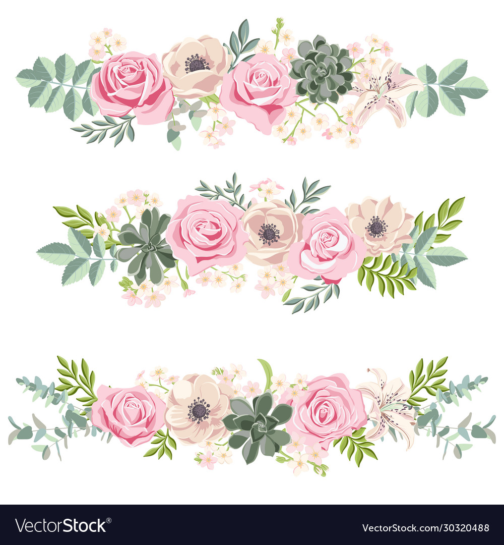 Drawing flowers set Royalty Free Vector Image - VectorStock