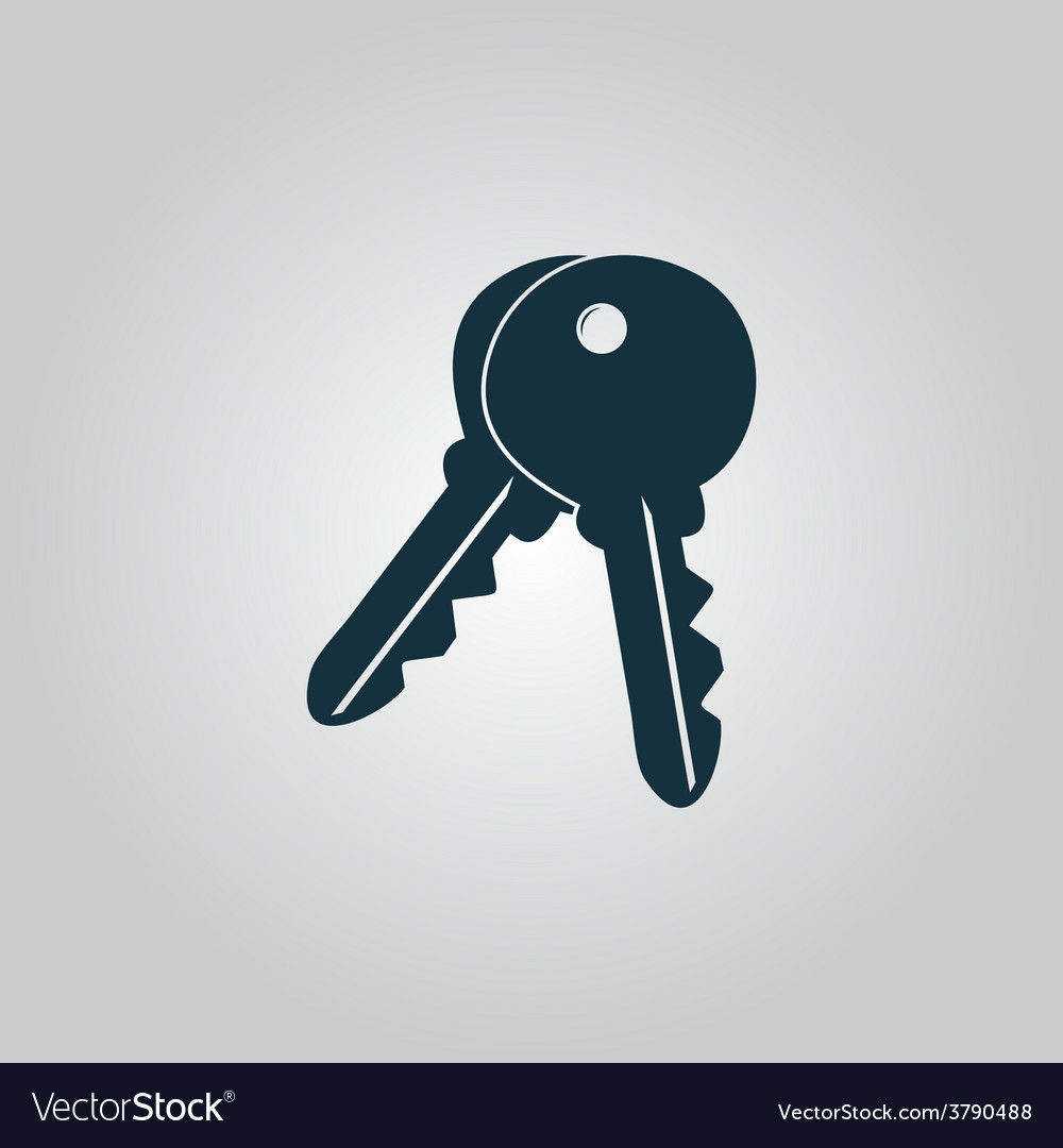 Keys sign icon unlock tool button Royalty Free Vector Image