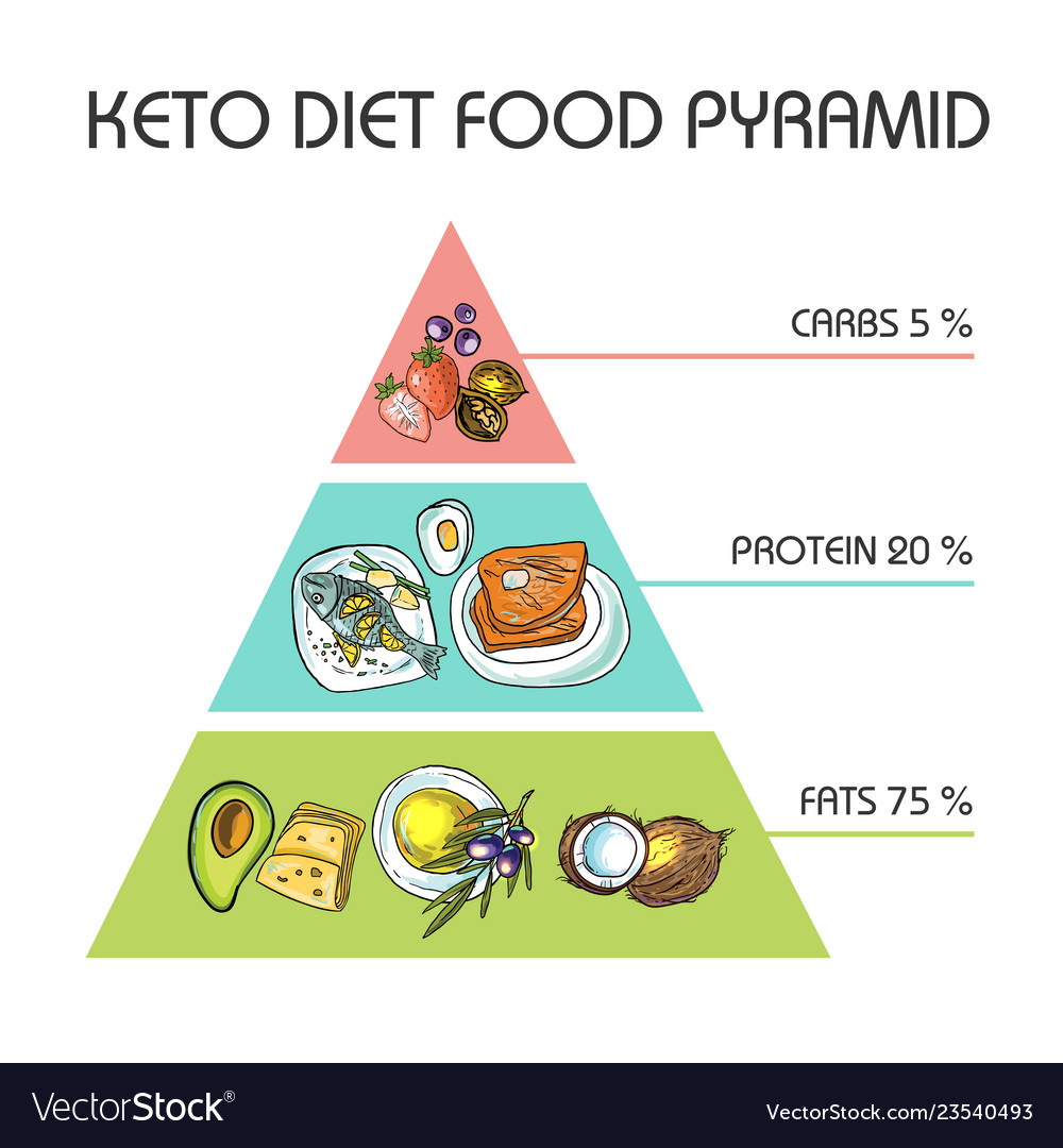 Hand drawn ketodiet nutrition Royalty Free Vector Image