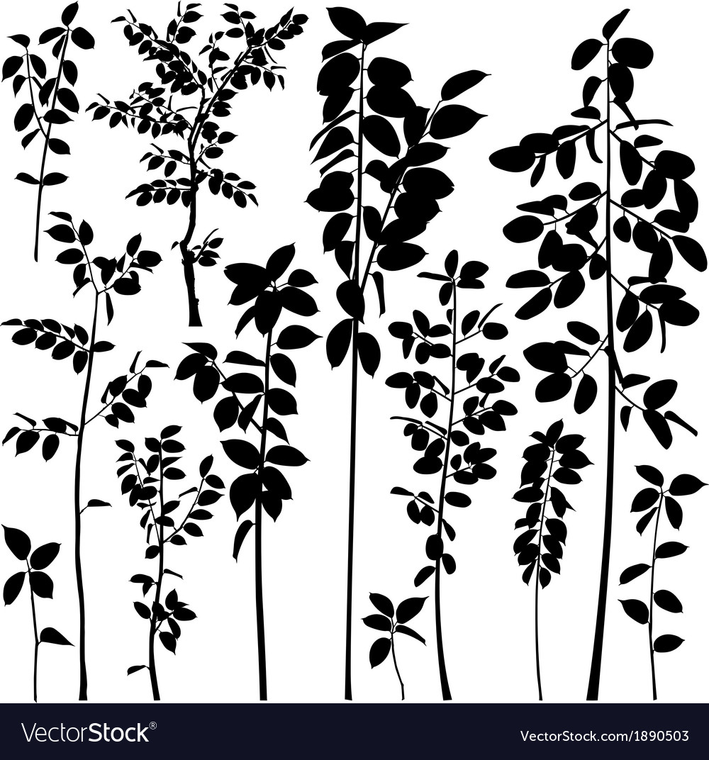 Tree saplings Royalty Free Vector Image - VectorStock