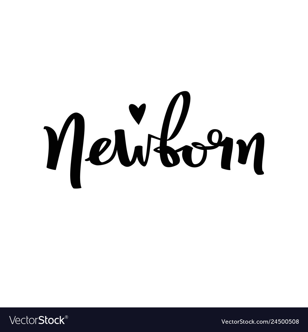 Handwritten lettering word newborn isolated on Vector Image