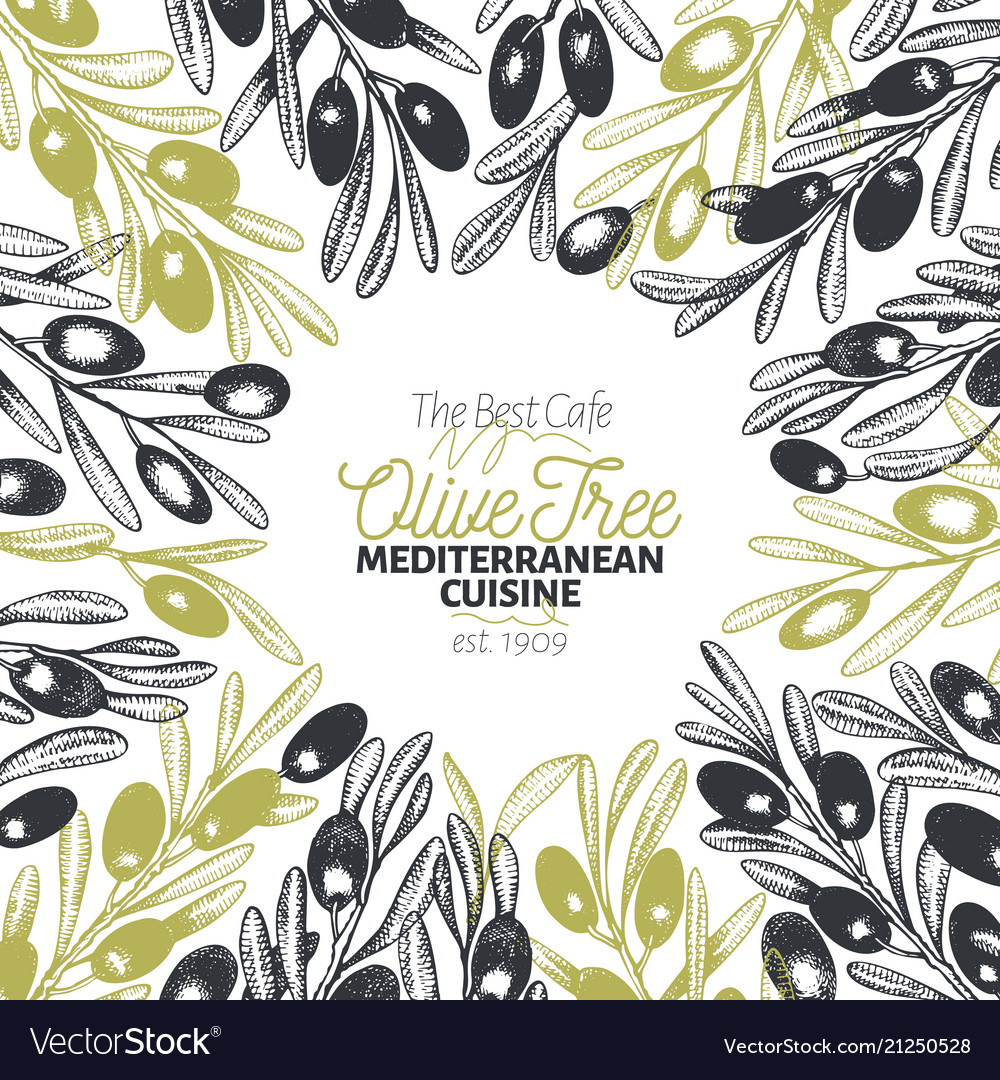 Olive Tree Banner Template Vintage Royalty Free Vector Image