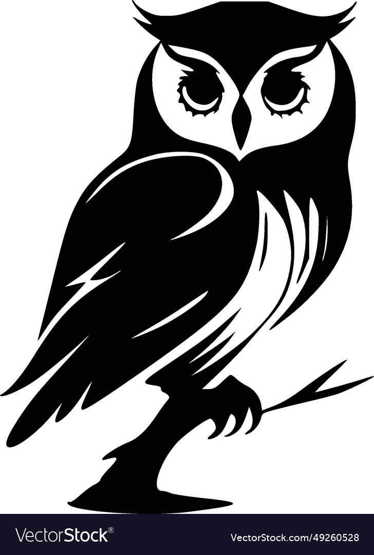 Owl - black and white