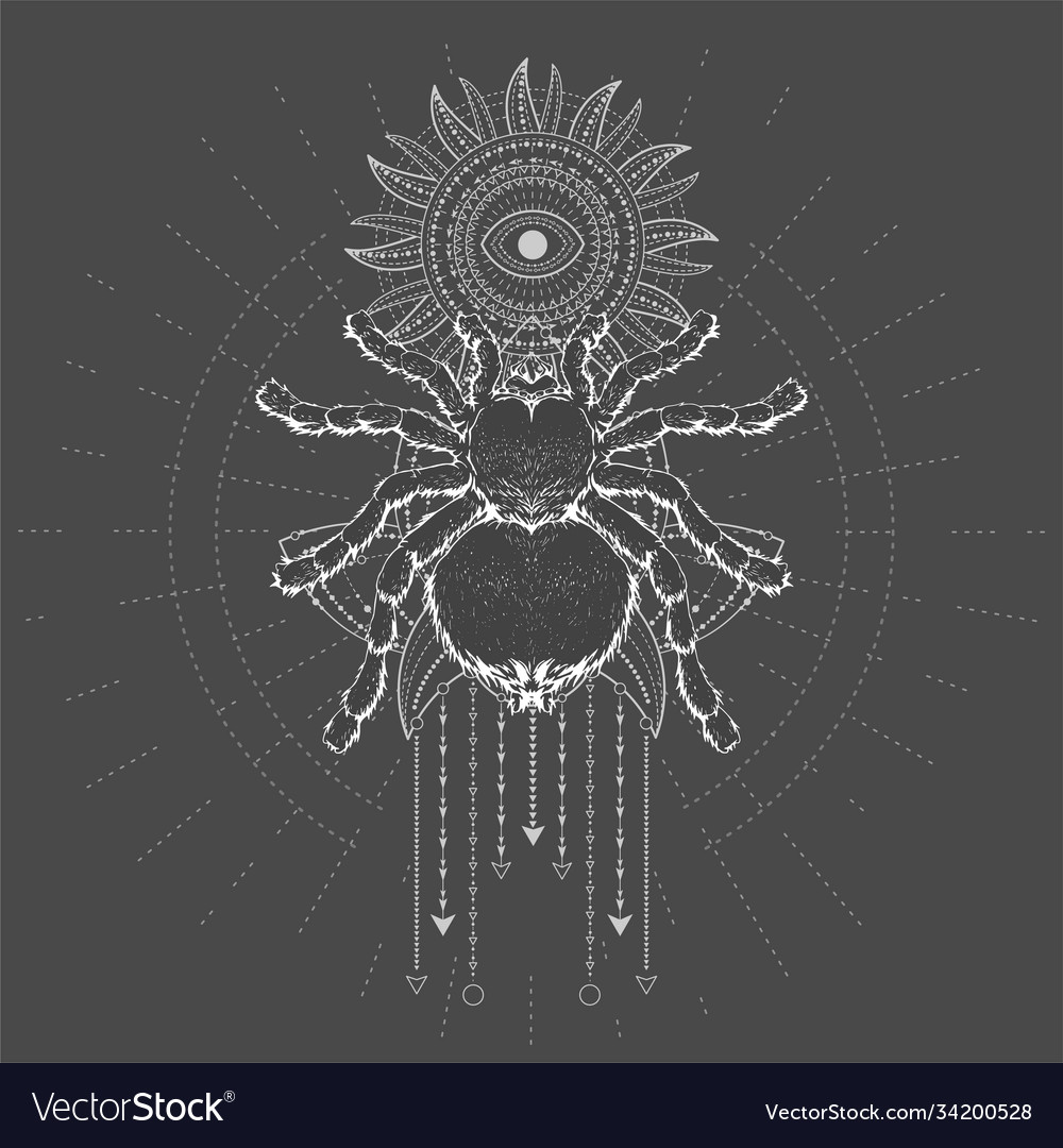 тотем паук. тотемное животное паук. тотем паук. амулет паук. тотем паук.