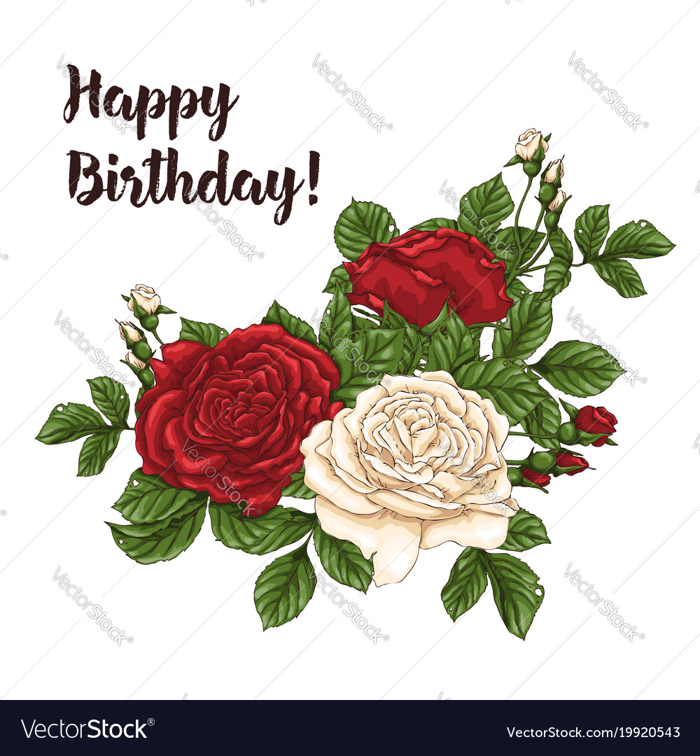 Card with garden white and red roses Royalty Free Vector