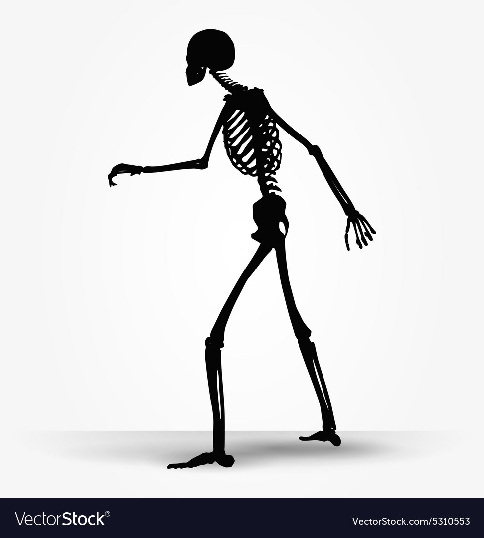 Skeleton silhouette in shuffle pose Royalty Free Vector