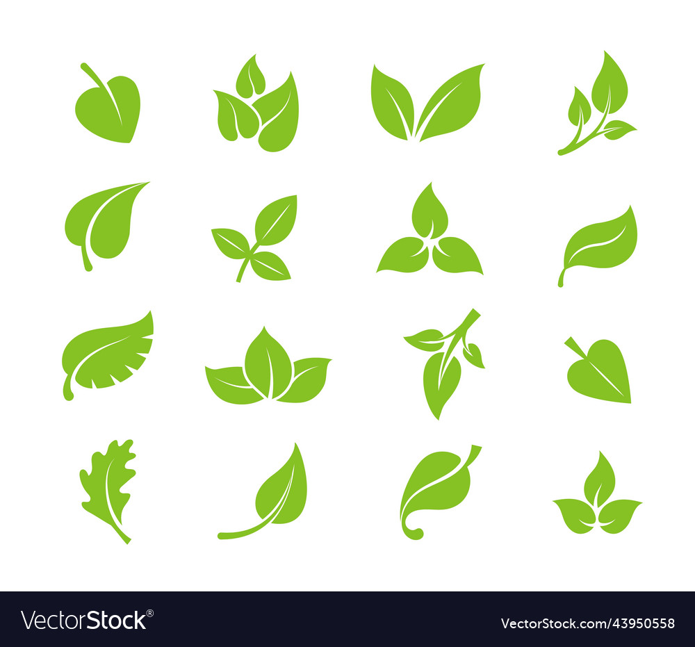Bio leaf image green leaves organic vegan life vector image Bio leaf image green leaves organic vegan life