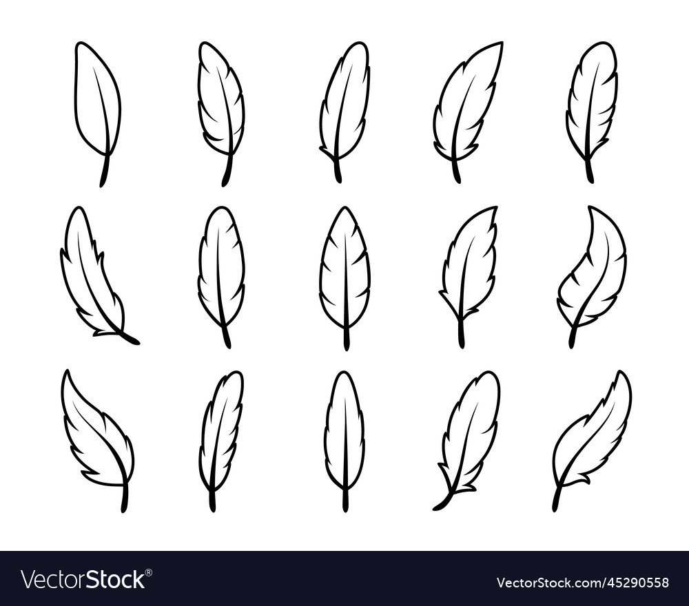 Fluffy feather silhouette icon set isolated Vector Image