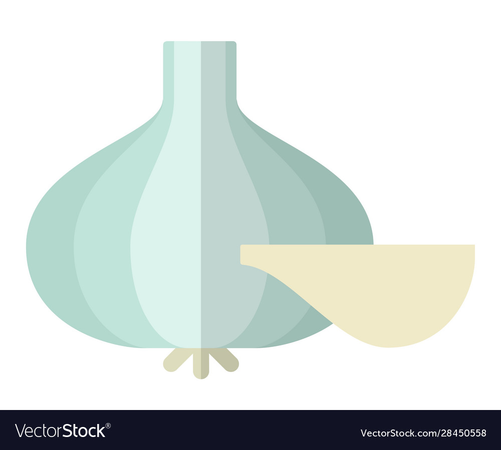 Whole garlic with clove garlic icon flat Vector Image