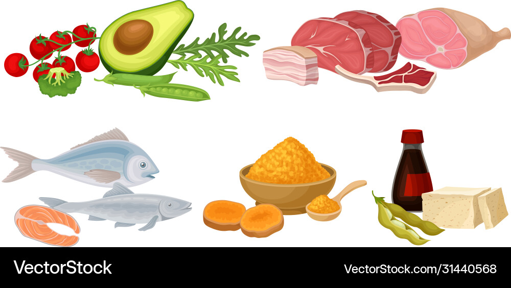 Food compositions with fish meat and vegetables Vector Image