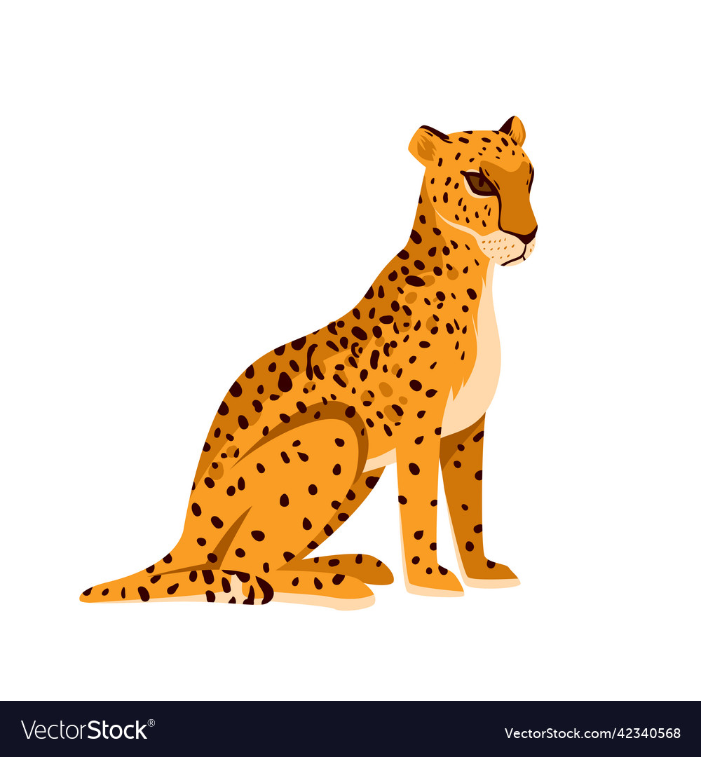 Wild leopard in sitting pose Royalty Free Vector Image