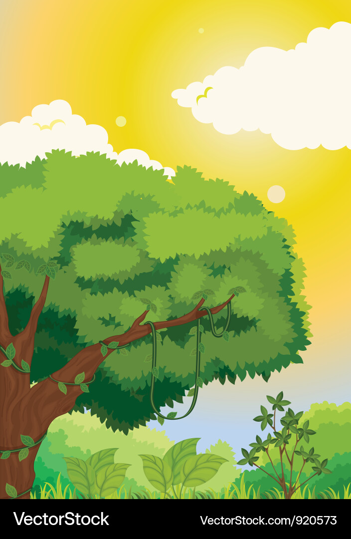 Forest Royalty Free Vector Image - VectorStock