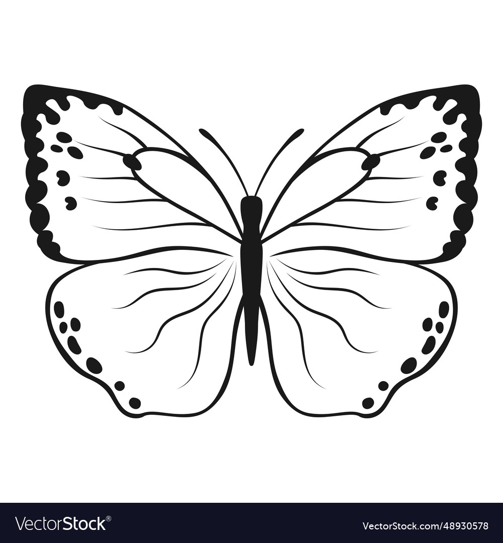 Butterfly black silhouette isolated Royalty Free Vector