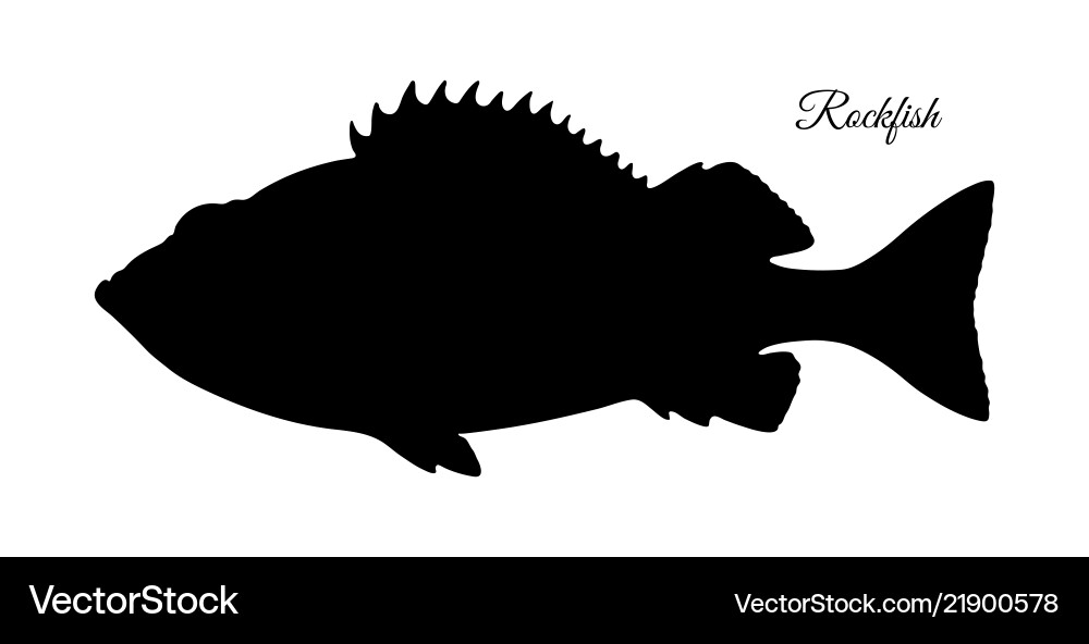 Silhouette of rockfish Royalty Free Vector Image