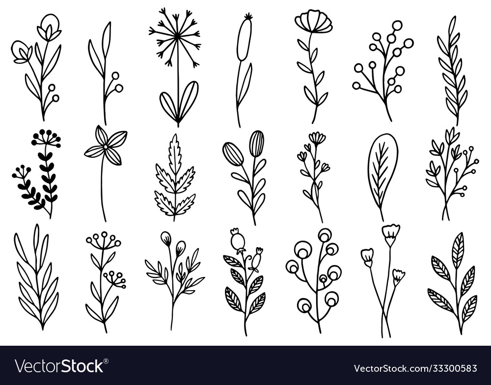 0142 Hand Drawn Flowers Doodle Royalty Free Vector Image