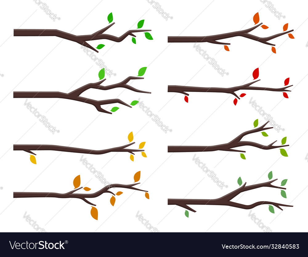 Set tree branches in flat design style Royalty Free Vector