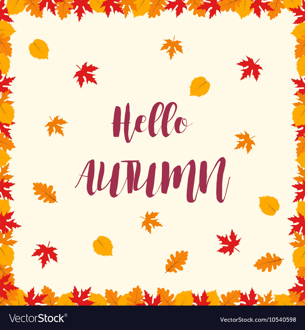 Autumn leaf fall pattern frame made of leaves Vector Image