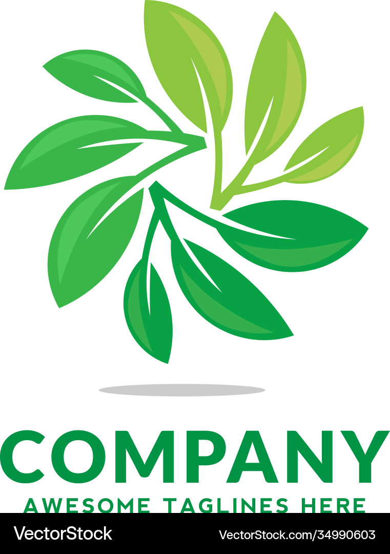 Green leaf Royalty Free Vector Image - VectorStock