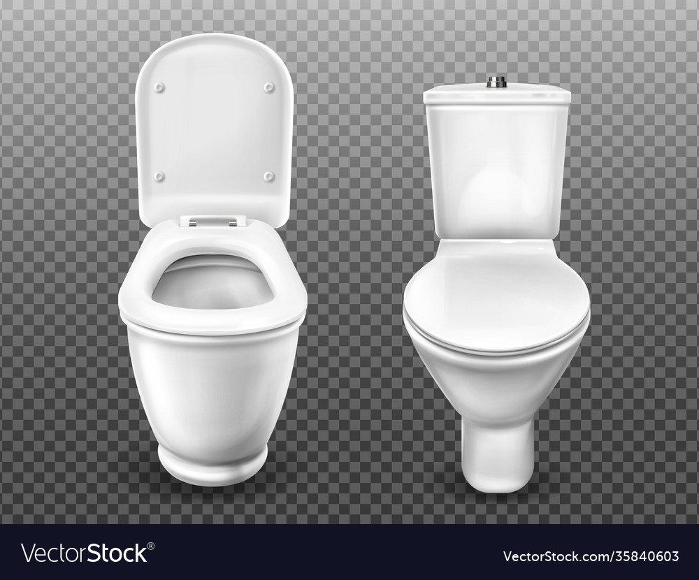 Toilet bowl for bathroom restroom modern wc Vector Image