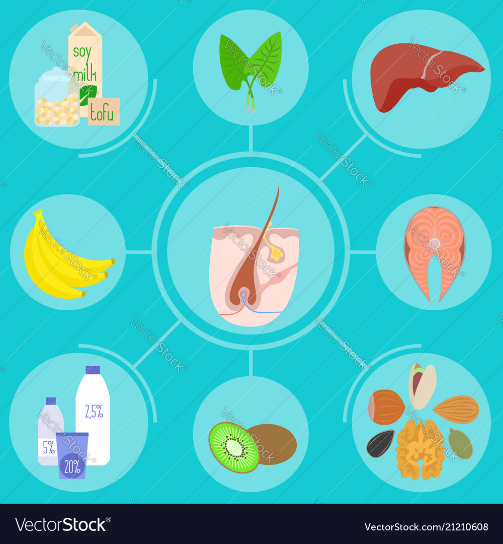 Infographics with food helpful for healthy hair Vector Image Infographics with food helpful for healthy hair Vector Image