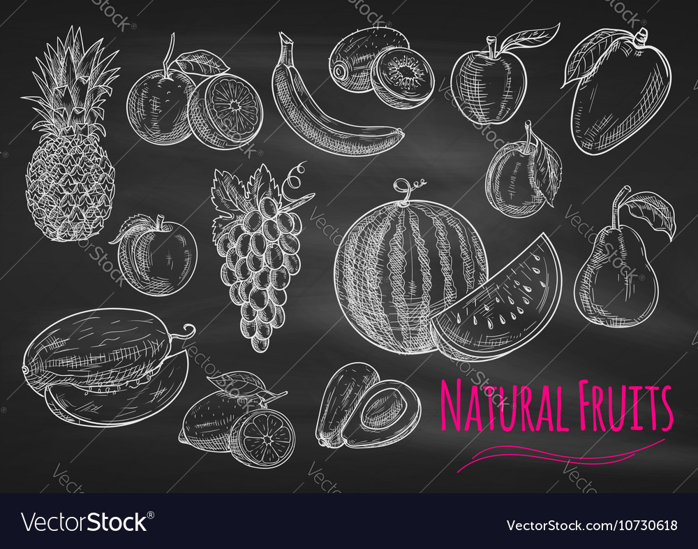 Fruits chalk sketch icons on blackboard Royalty Free Vector