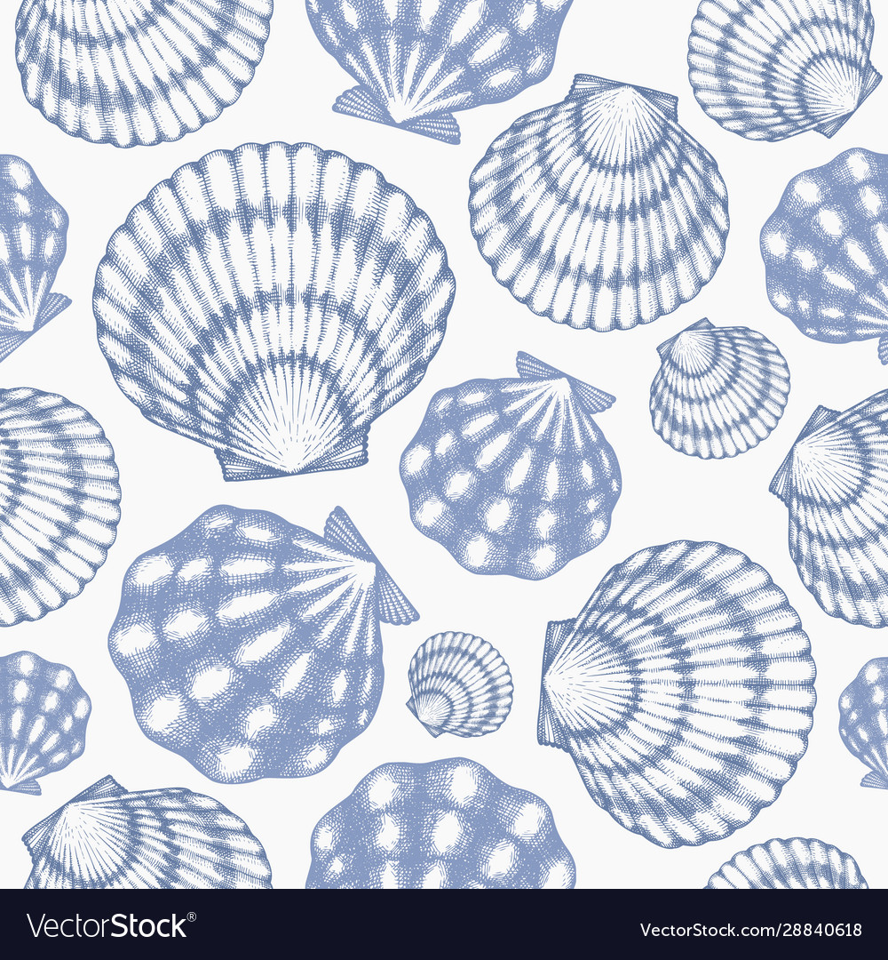 Scallop seamless pattern hand drawn seafood Vector Image