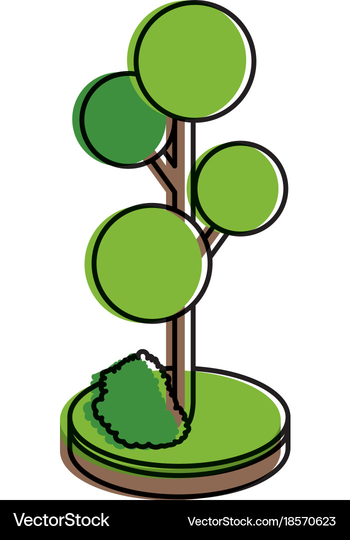 Isometric tree design Royalty Free Vector Image