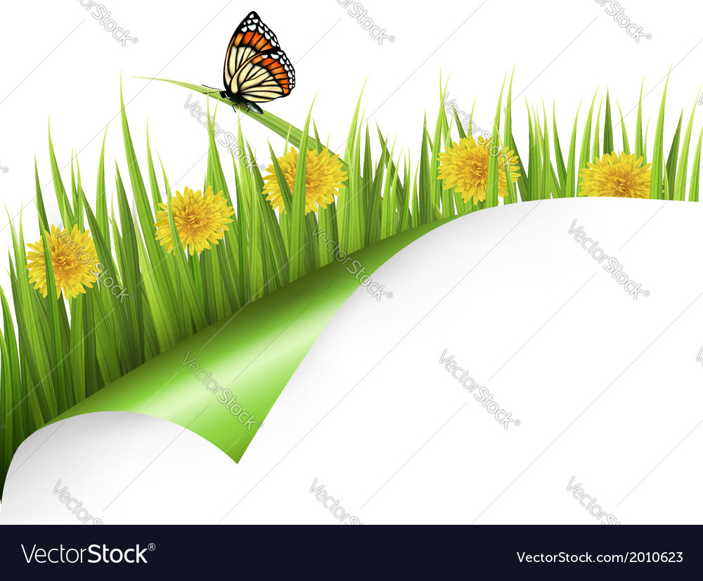 Summer background with dandelions and a butterfly Vector Image