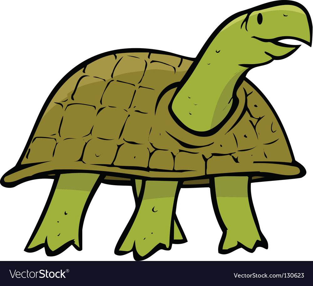 Turtle Royalty Free Vector Image - VectorStock