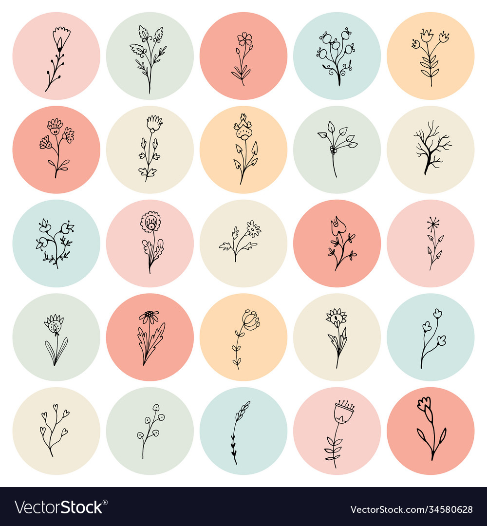 Floral insta highlight covers neutral social Vector Image