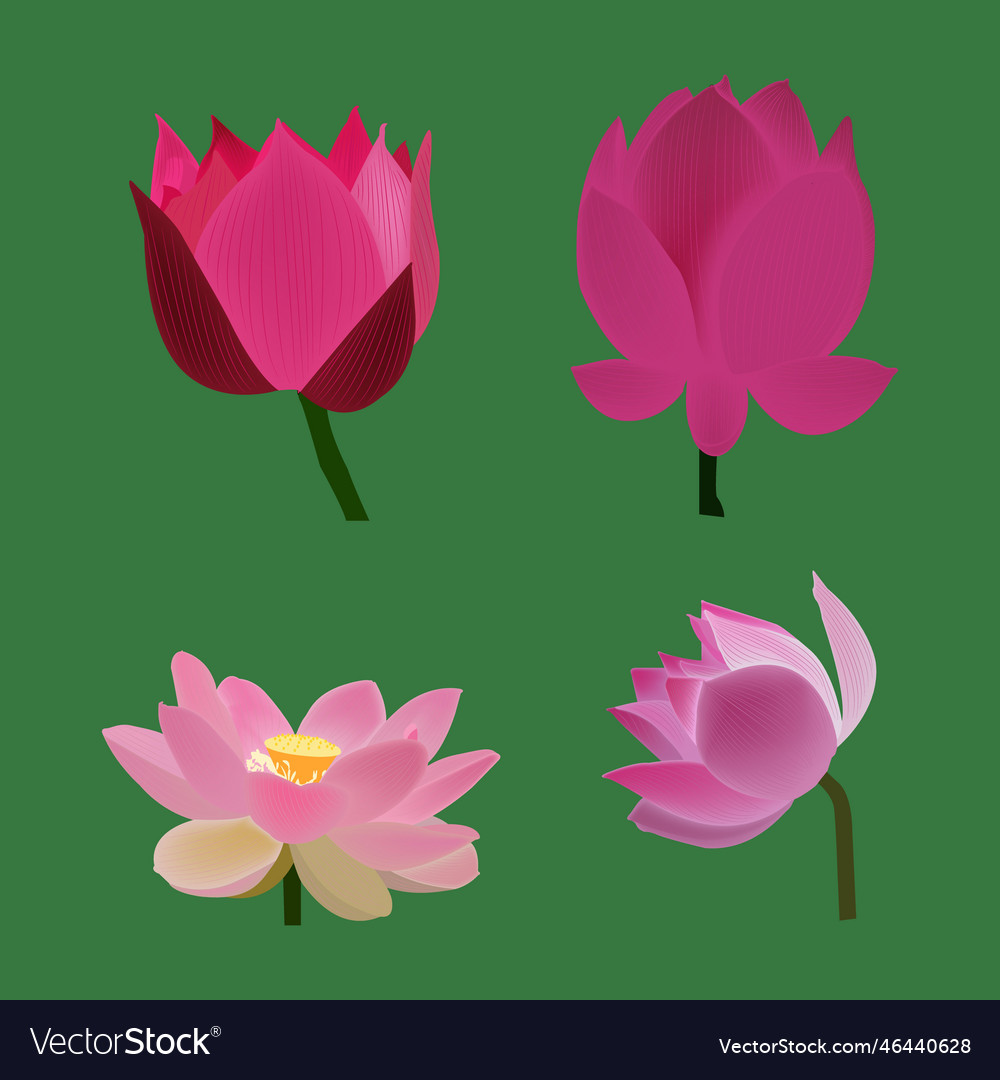 Lotus flower avatar art Royalty Free Vector Image