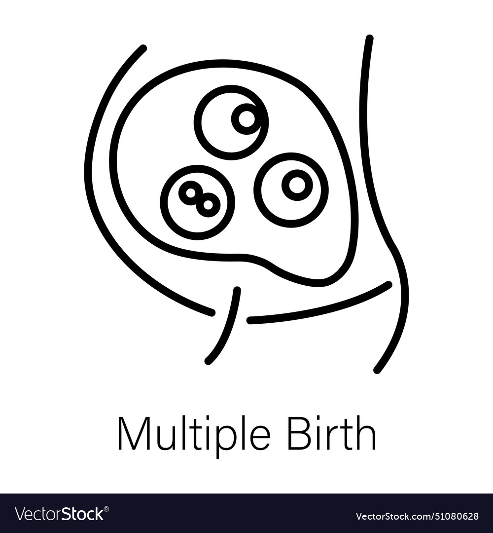 Multiple birth Royalty Free Vector Image - VectorStock