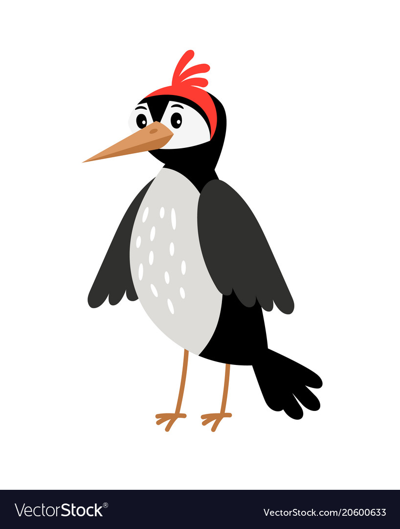 woodpecker cartoon