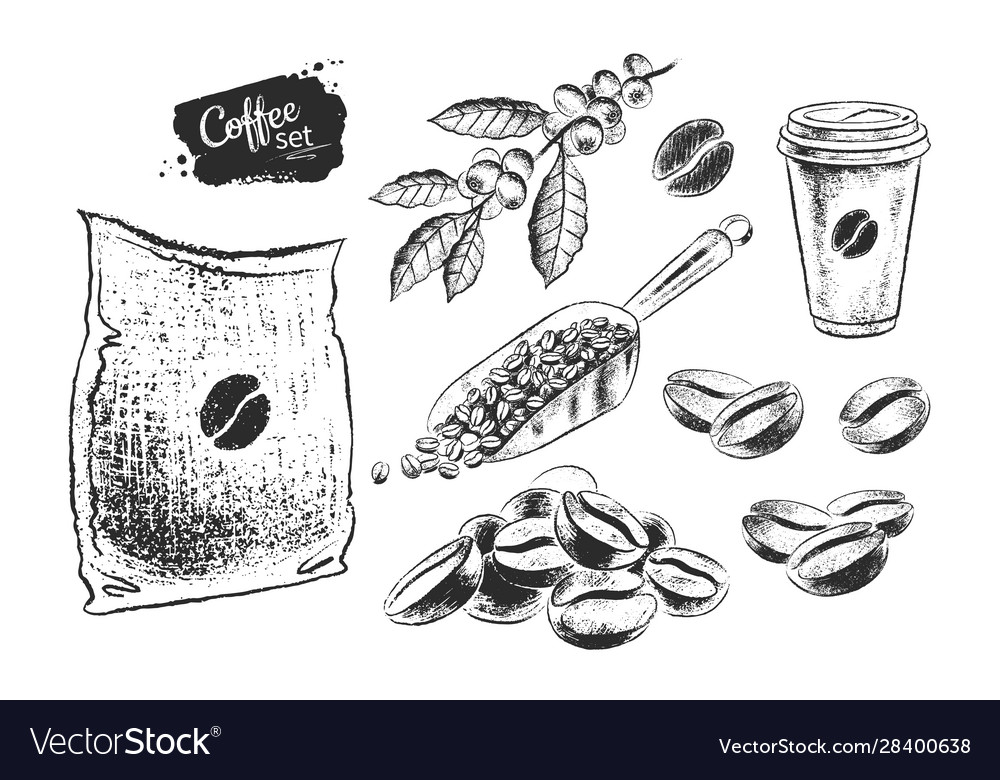 Black and white set coffee beans Royalty Free Vector Image