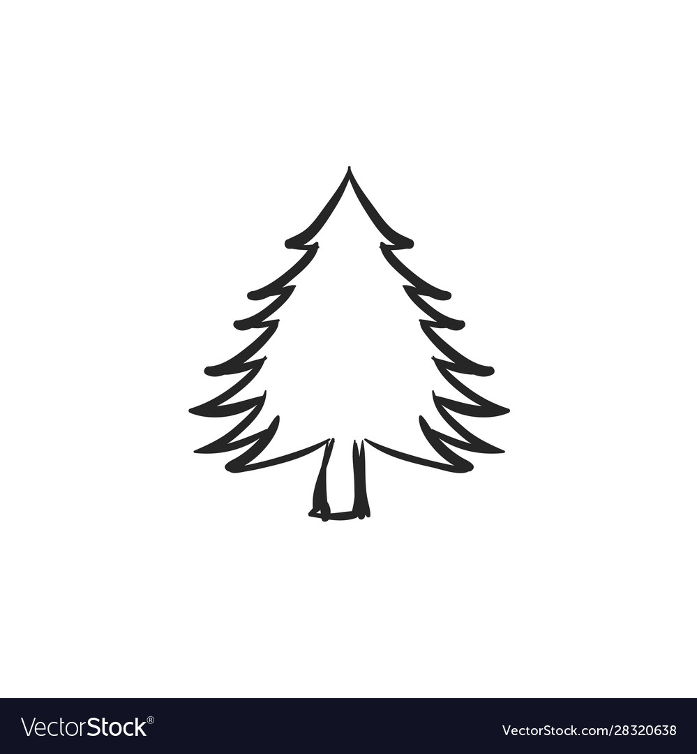 Pine Tree Drawing / Pine Tree Printable Art Minimalist Forest Print