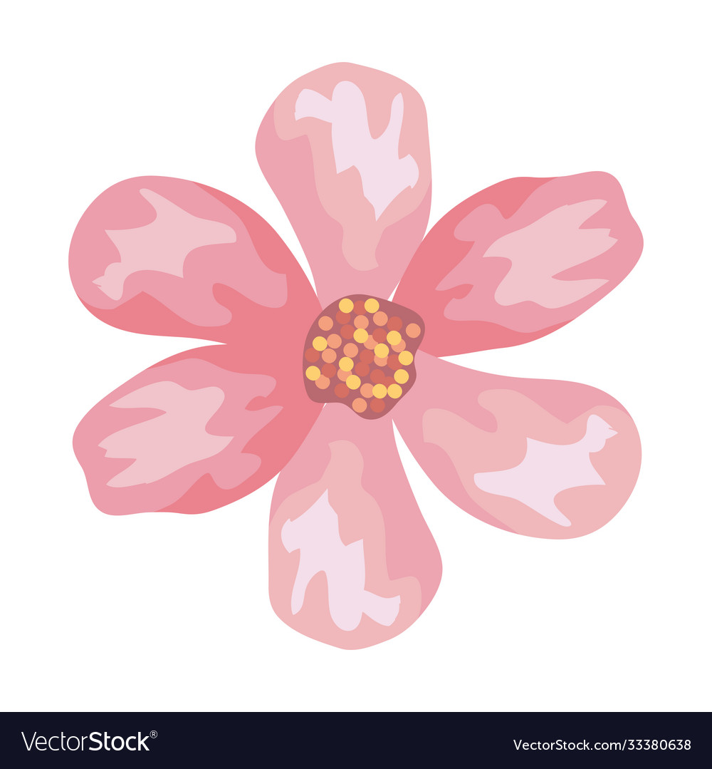 Pink flower drawing design Royalty Free Vector Image