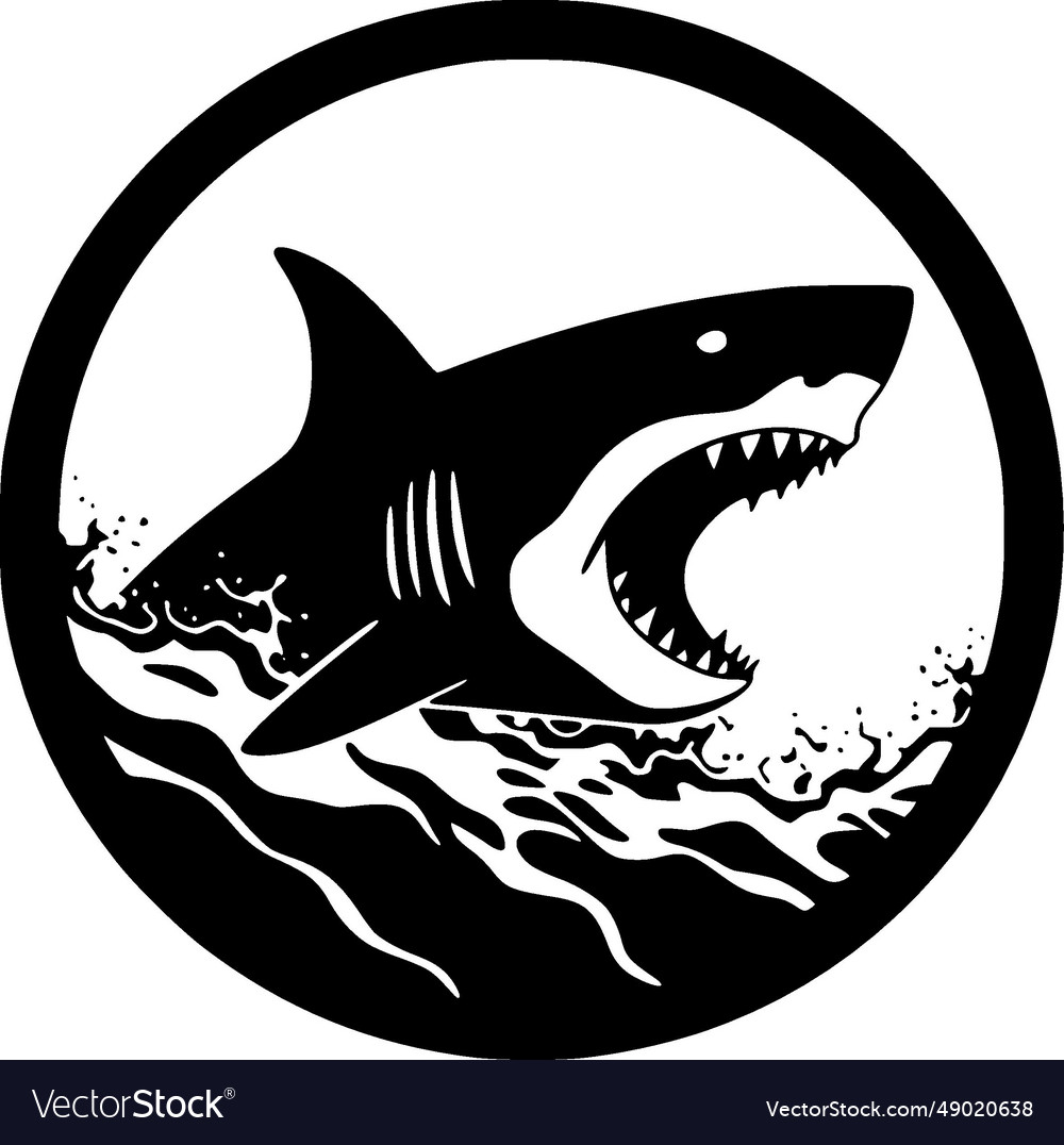 Shark - black and white