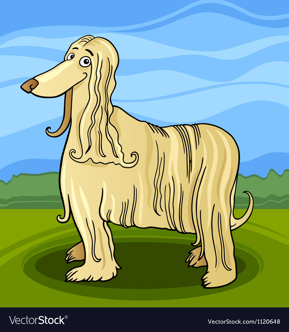 Cartoon Afghan Hound Dog Royalty Free Vector Image