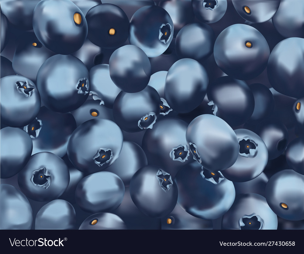 Beautiful blueberry background 3d fresh realistic Vector Image