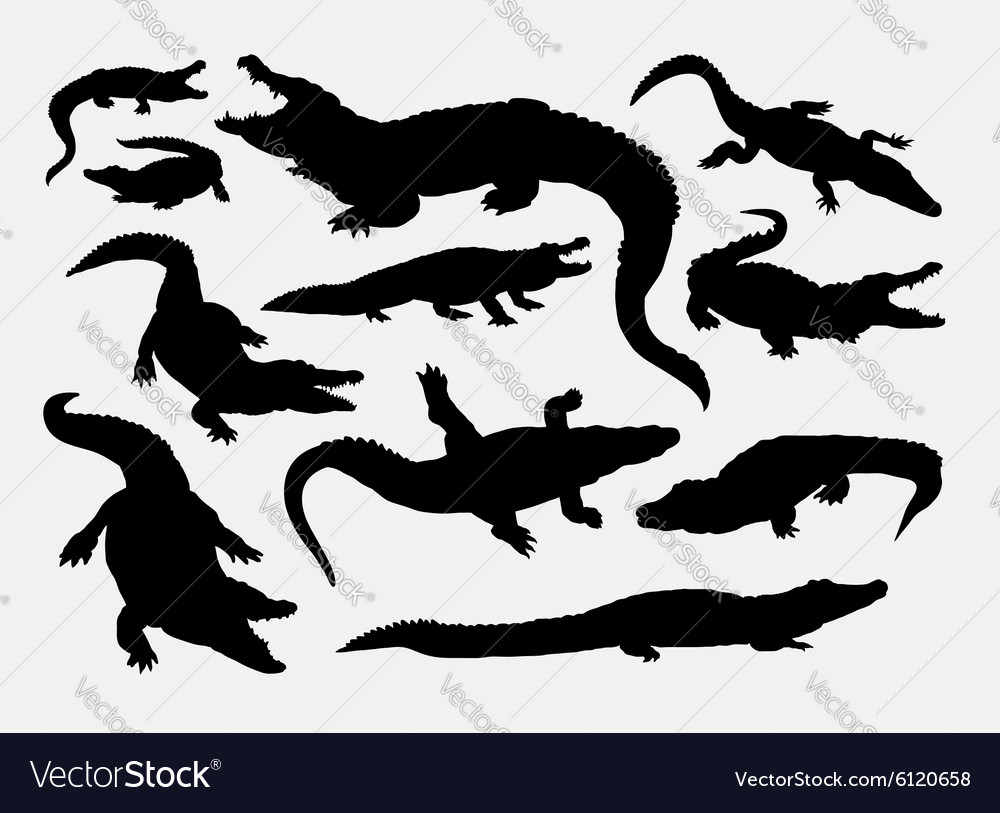 Crocodile reptile wild animal silhouettes Vector Image